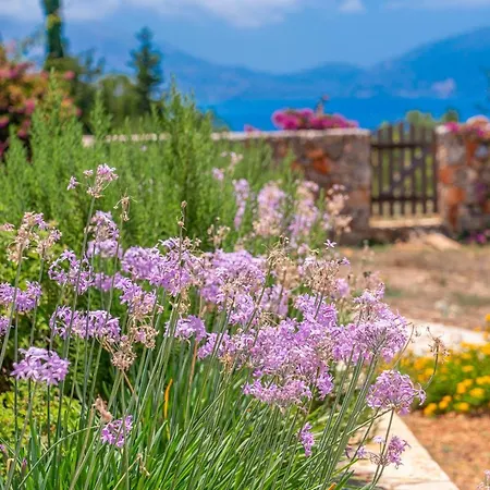 Blue Horizon * Tzamarelata